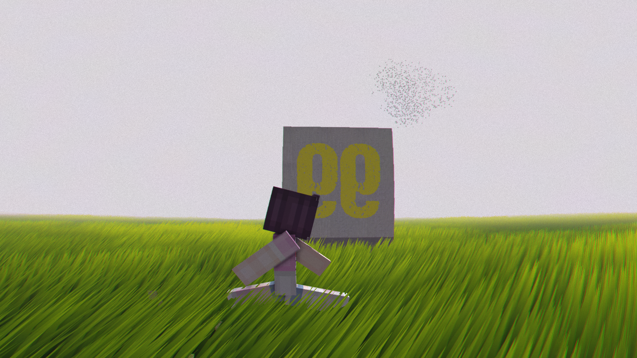 Grass field: the horizon
