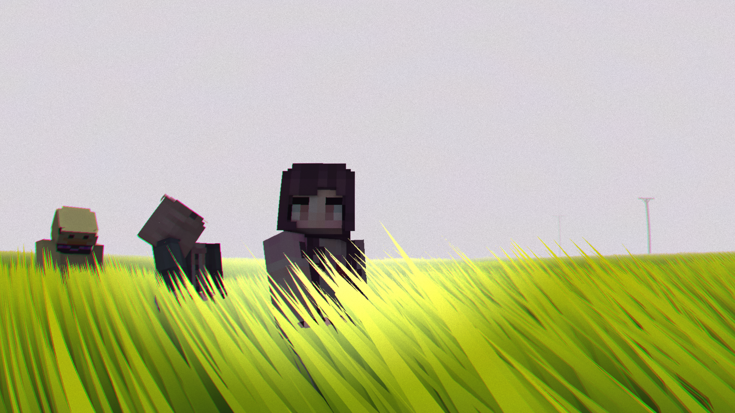 Grass field: wide and empty