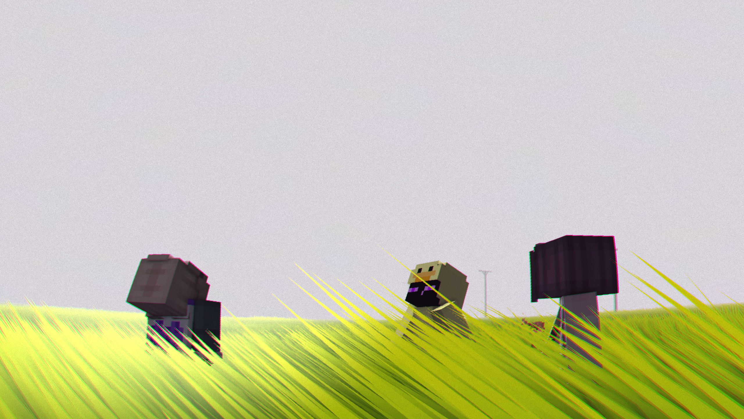 Infinite grass field