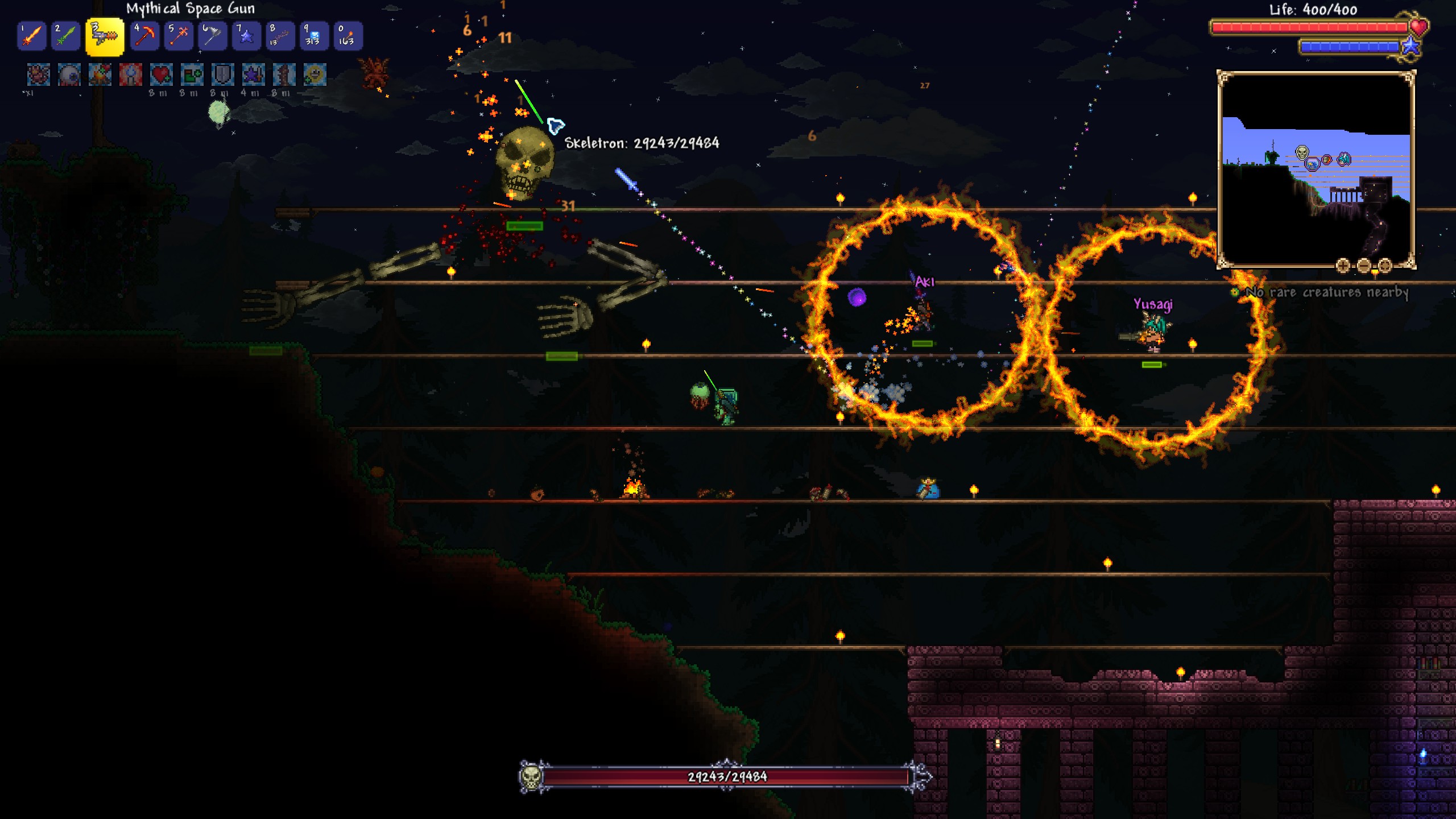 Skeletron fight